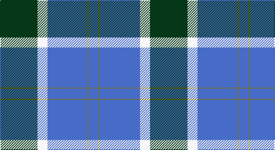 DG/60 W16 B64 Y2 B/16 tartan