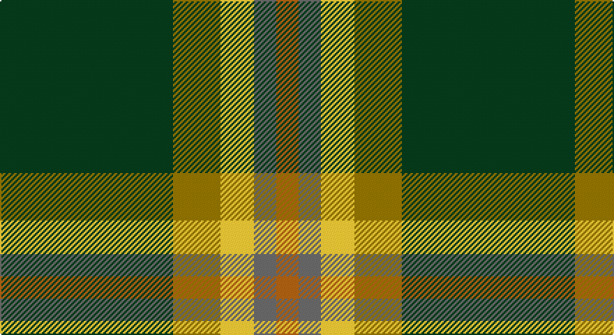 DG/124 Y34 LY24 N16 O/16 tartan