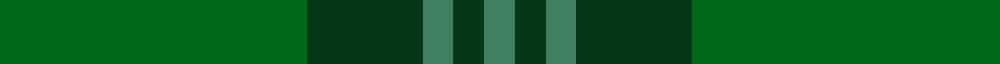 Celtic 2009 (Sports)