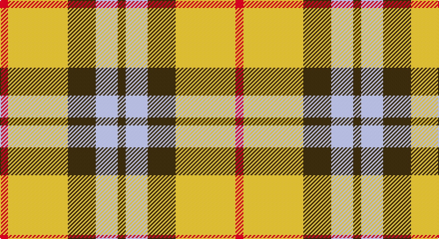 R/8 LY60 DY28 LB22 DY/8 tartan