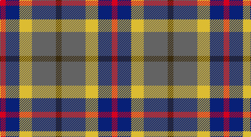 R/10 DB24 LY22 N42 DY/10 tartan