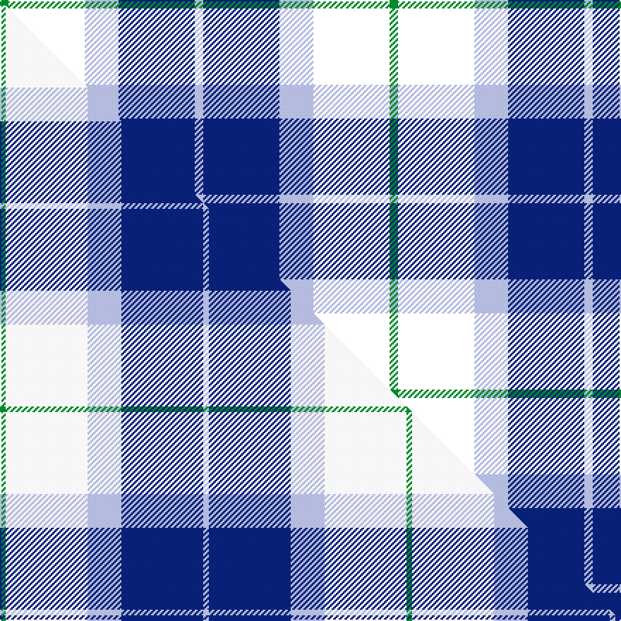 this sett (top) woven against the master sett (bottom)