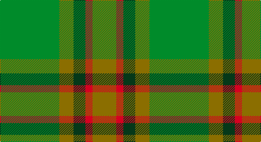 G/100 Y24 DG20 R12 Y/40 tartan