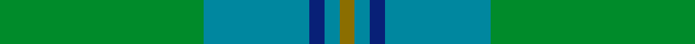Irving of Bonshaw sett