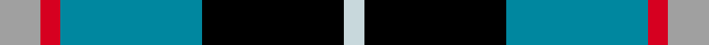 Bryson (1988) (Name)
