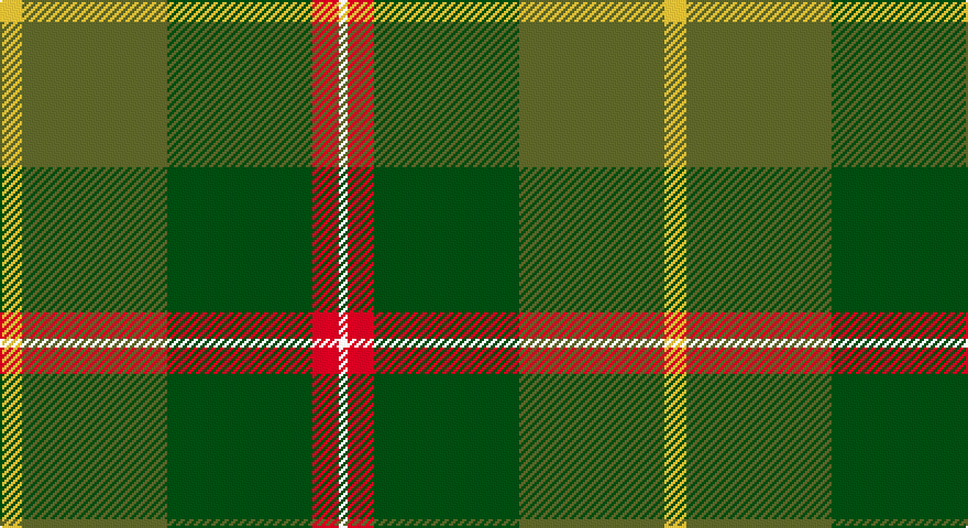 LY/10 G66 DG66 R12 W/4 tartan