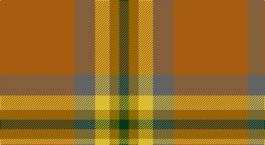 O/124 N34 LY24 Y16 DG/16 tartan