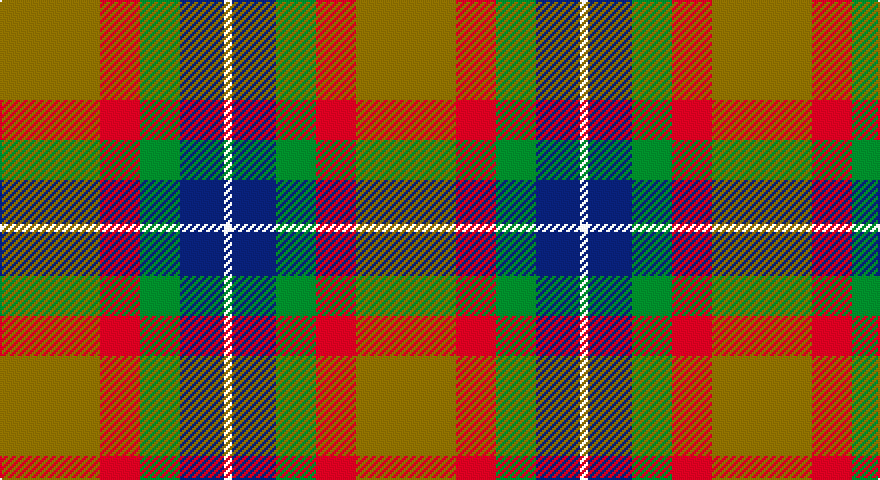 Y/50 R20 G20 DB22 W/4 tartan