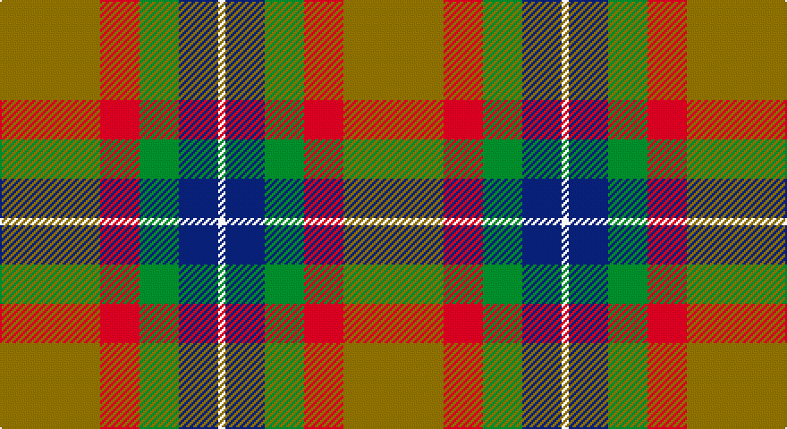 Y/56 R22 G22 DB22 W/4 tartan