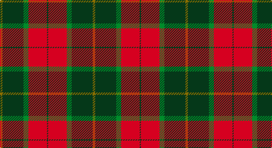 Y/4 DG34 G8 R30 DG/2 tartan