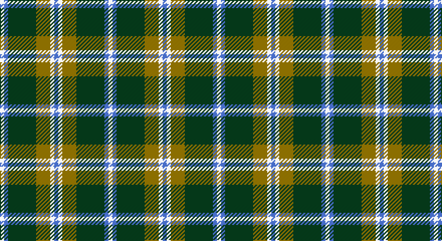 W/4 B4 DG28 Y14 W4 B/4 tartan