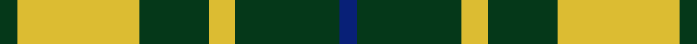 Confederate Infantry sett