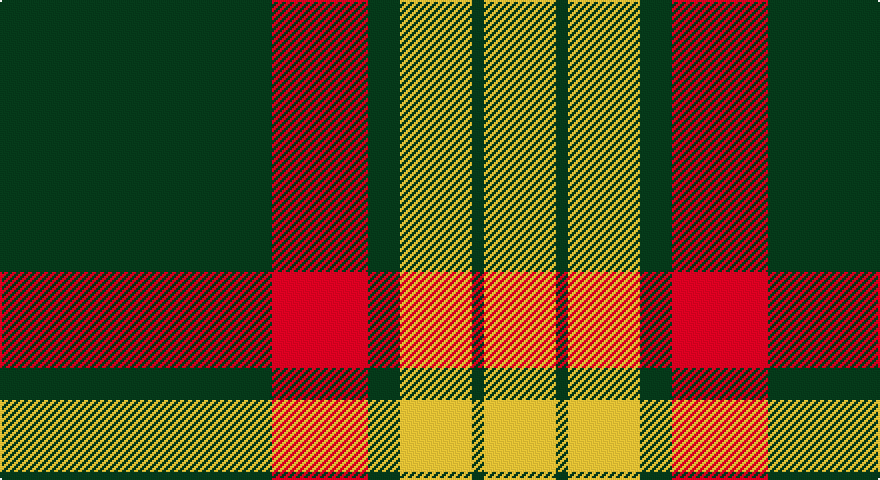 DG/136 R48 DG16 LY36 DG6 LY/36 tartan