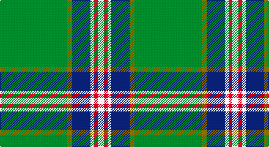 G/110 Y8 DB30 W6 R6 W/10 tartan