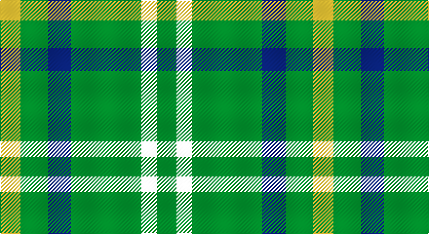 LY/21 G28 DB24 G72 W16 G/20 tartan