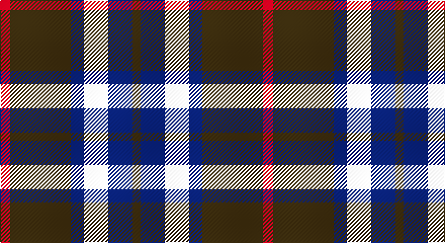 R/10 DY60 DB13 W24 DB24 DY/8 tartan