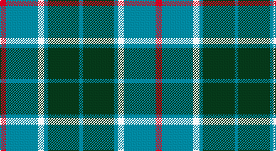 R/10 T50 W10 T6 DG50 T/6 tartan