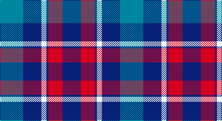 T/46 DB36 W10 DB4 R28 DB/36 tartan