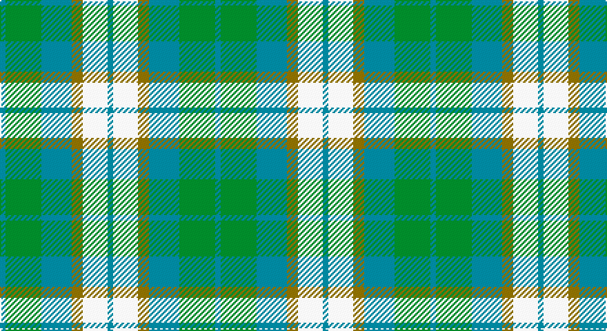 T/4 G26 T22 Y8 W18 T/4 tartan