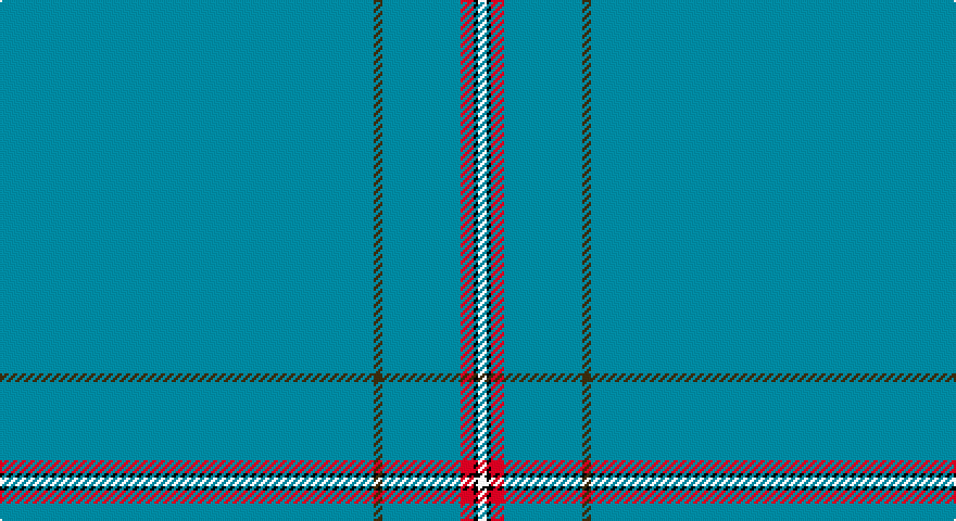 T/172 DY4 T36 R6 K2 W/4 tartan
