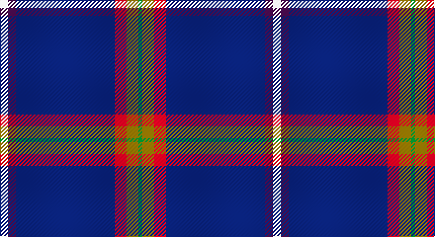 W/8 DP8 DB100 R12 Y12 G/4 tartan