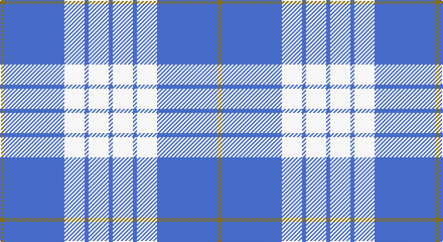 Y/4 B60 W20 B4 W20 B/4 tartan