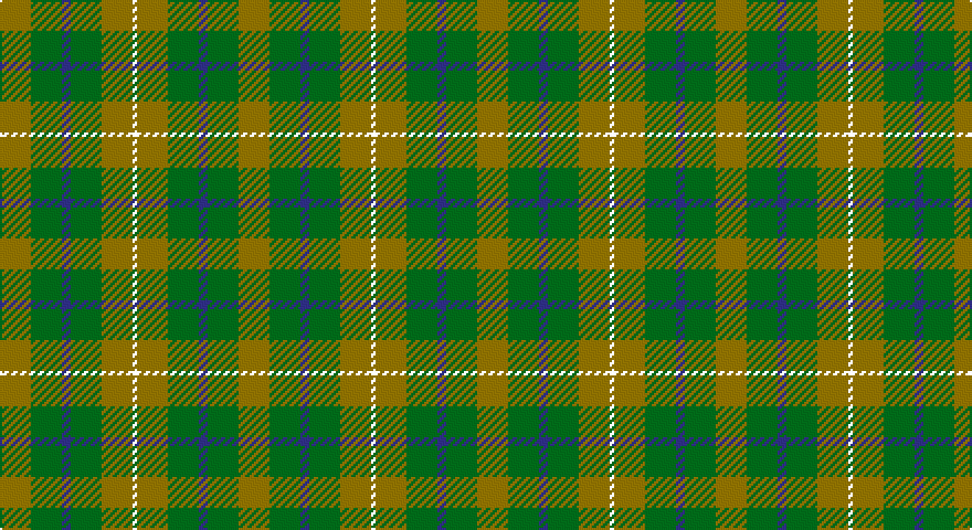 Y/14 DG14 DB4 DG14 Y14 W/2 tartan