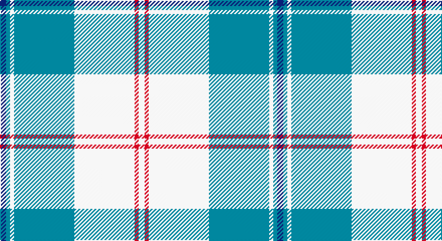 DB/6 T4 W4 T60 W60 R4 W/6 tartan