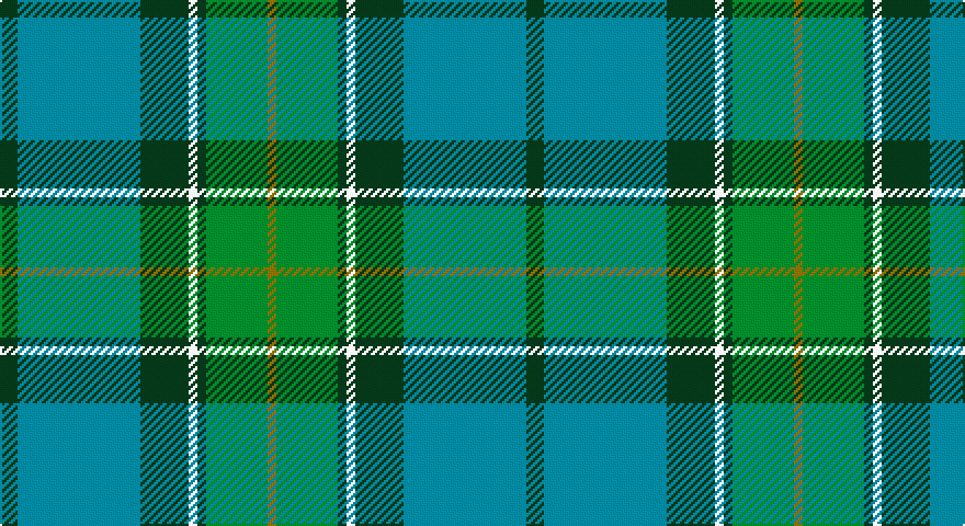 DG/8 T56 DG22 W4 DG4 G28 Y/4 tartan