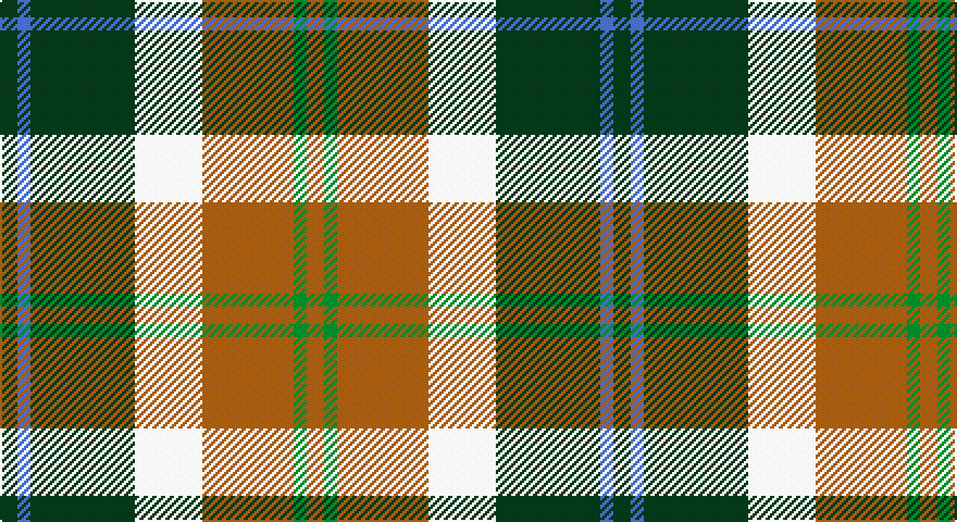 DG/8 B6 DG48 W31 O42 G6 O/8 tartan