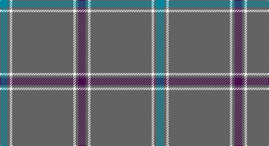 T/12 N4 W4 N100 W4 N4 DP/12 tartan