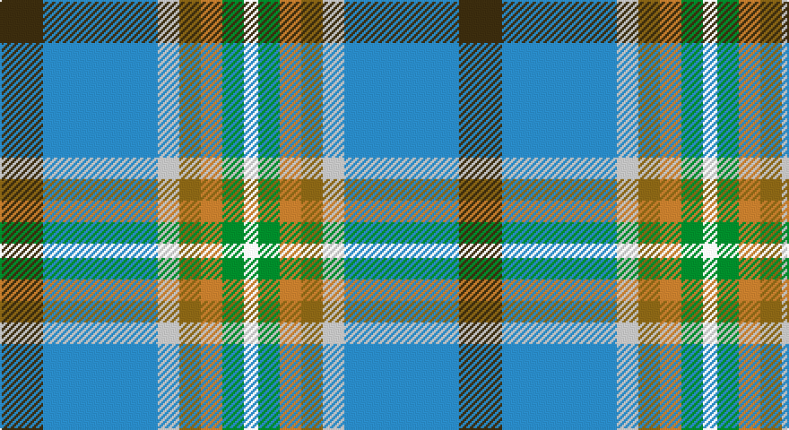 DY/24 T64 LB12 Y12 O12 G12 W/8 tartan