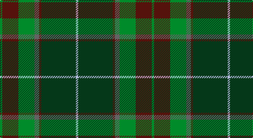 G/4 DR28 G28 N8 DR4 DG60 LB/4 tartan