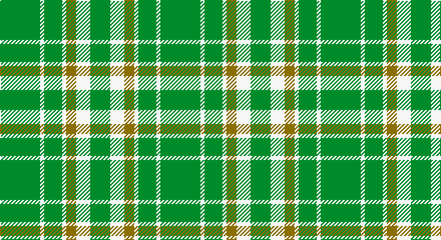 G/40 W4 G18 W4 Y10 W14 G/20 tartan