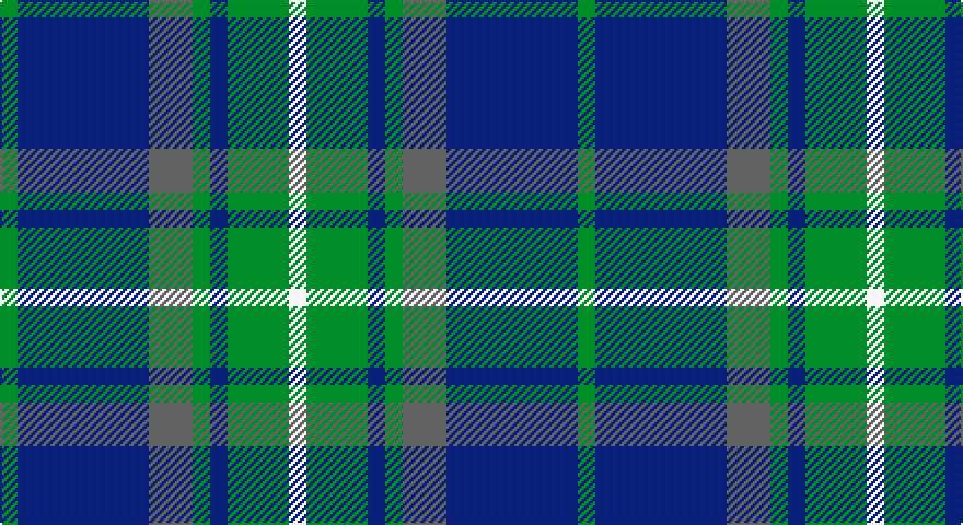 G/8 DB60 N20 G8 DB8 G28 W/8 tartan