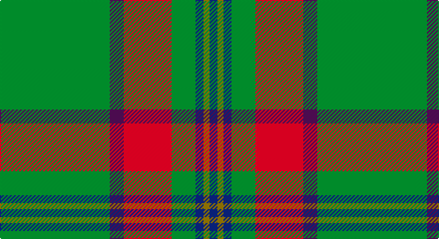 G/110 DP14 R48 G24 DB8 Y6 DB/8 tartan