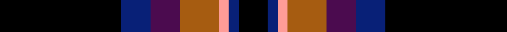 Black Raven
