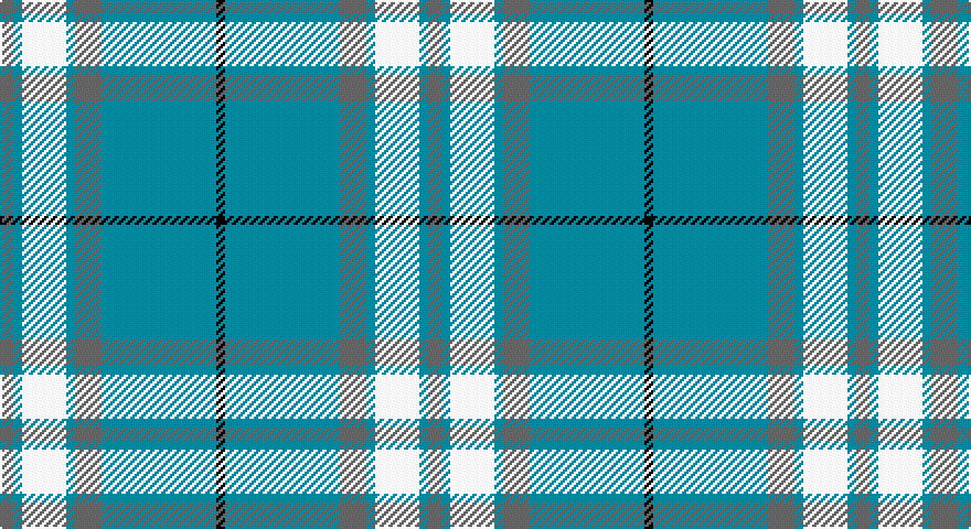 N/6 T4 W20 T4 N12 T52 K/4 tartan