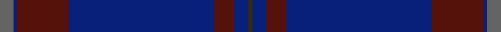 Lion Brand Sportswear