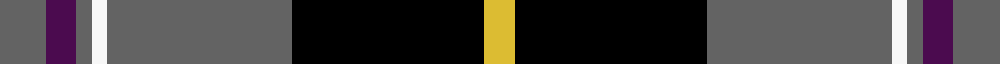 New York State Troopers (Corporate)