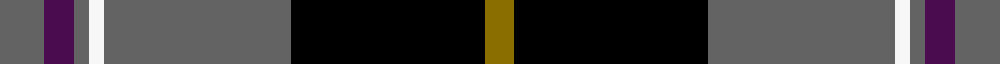 New York State Troopers
