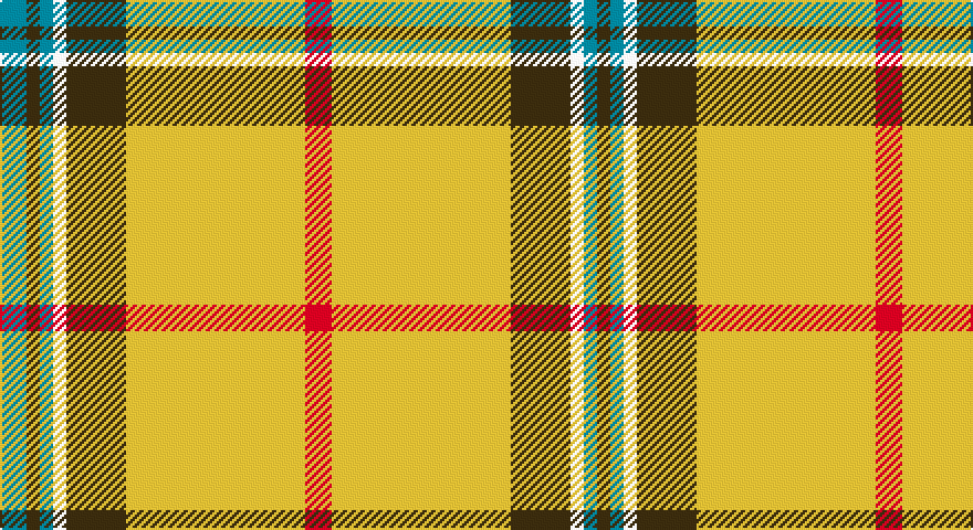R/12 LY81 DY27 W6 T6 DY6 T/12 tartan