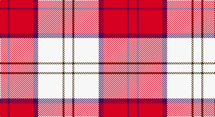R/16 DP4 R48 DP10 W50 DY4 W/16 tartan