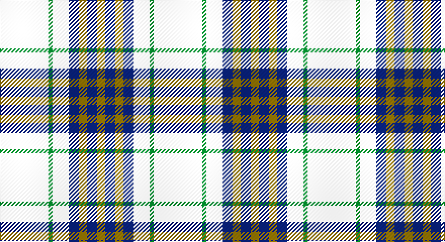 W/48 G4 W16 DB10 Y8 DB10 Y/8 tartan