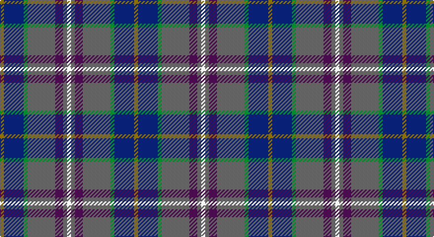 Y/4 DB20 G4 N28 DP8 N4 W/4 tartan