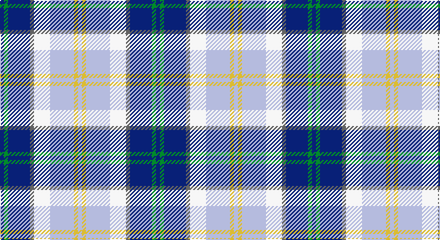 DB/4 G4 DB22 N4 W16 LB24 LY4 LB/4 tartan
