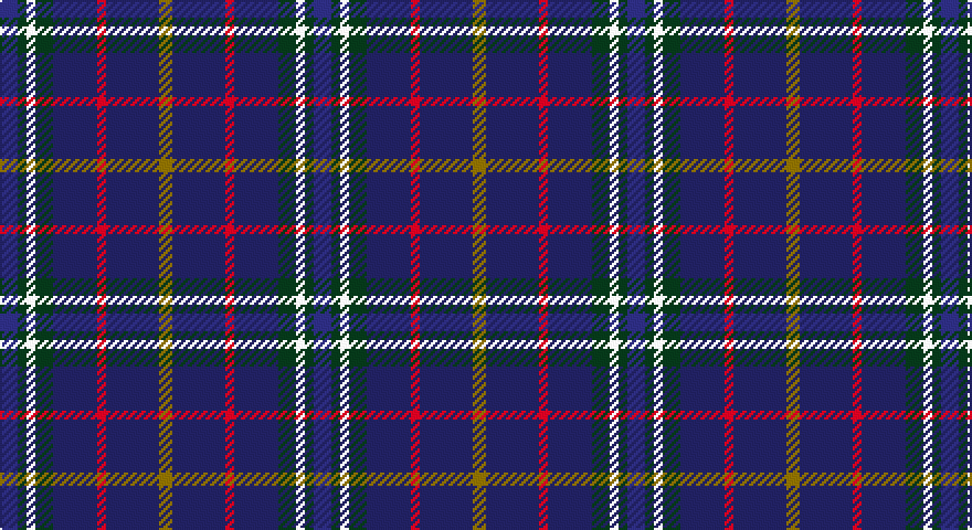 DBi/8 DG4 W4 DG8 DB20 R4 DB24 Y/6 tartan