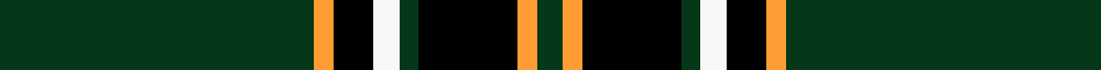 Birmingham Irish