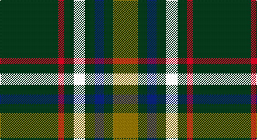 DG/100 R10 DG16 W20 DG16 DB16 DG16 Y/42 tartan