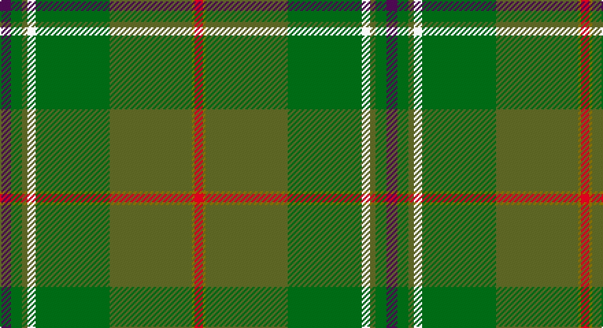 DP/8 DG8 G4 W6 DG54 G60 Y2 R/6 tartan